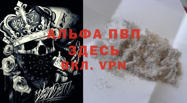 стафф Аркадак