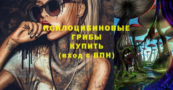 стафф Аркадак