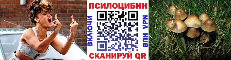 Псилоцибиновые грибы Psilocybe  Сальск 